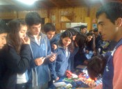 Visita a Colegio de Humanidades de Villarrica